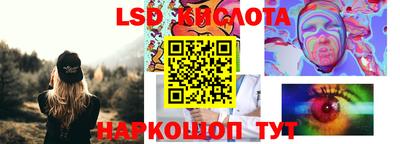 стаф Донецк