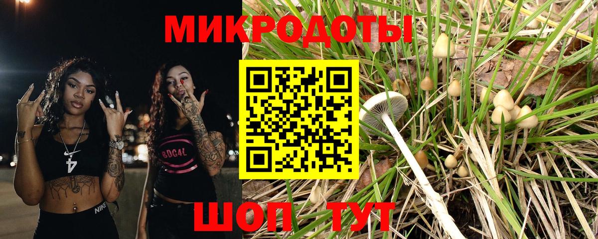 Псилоцибиновые грибы MAGIC MUSHROOMS  Вход с VPN  Лыткарино 